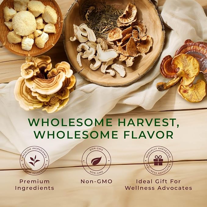 Gya Tea Co Mushroom Medly Tea Pod Collection Gift Set (16 Count) - Different Flavors Assorted Variety Pack - Bloomnest