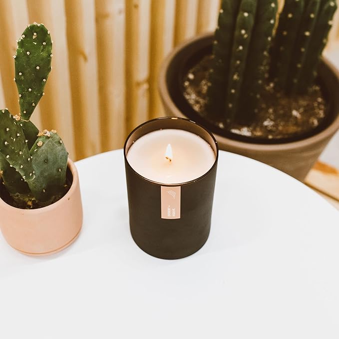 Calyan Wax Co. Desert & Agave Scented Candle - 75 Hour Burn - Luxury Non Toxic Soy Wax Candles - Long Lasting Black Tumbler Jar Candle for Home - 10.2oz - Bloomnest
