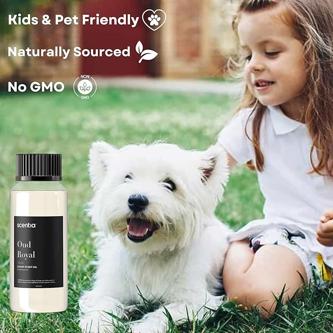 Scentia Oud Royal Hotel Diffuser Oil 120 ml | Oud Royal for Scent Diffuser | Luxurious Aroma, Niche Scent, Cardamom, Rosewood & Oud | 120ml Aromatherapy Fragrance Scentia