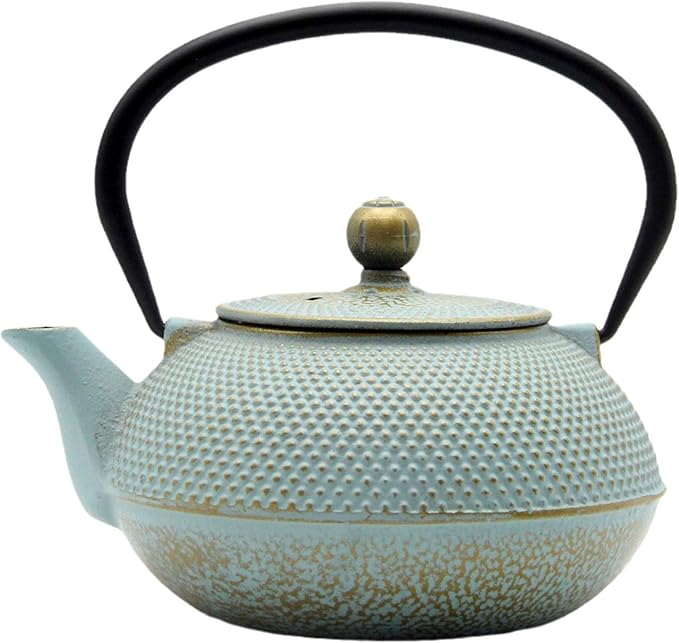 30.4oz Small Cast Iron Teapot, Tea Kettle for Stovetop Safe, Tea Pot with Stainless Steel Infuser for Loose Tea, Japanese Tetsubin Coated with Enameled Interior(900ml) - Bloomnest
