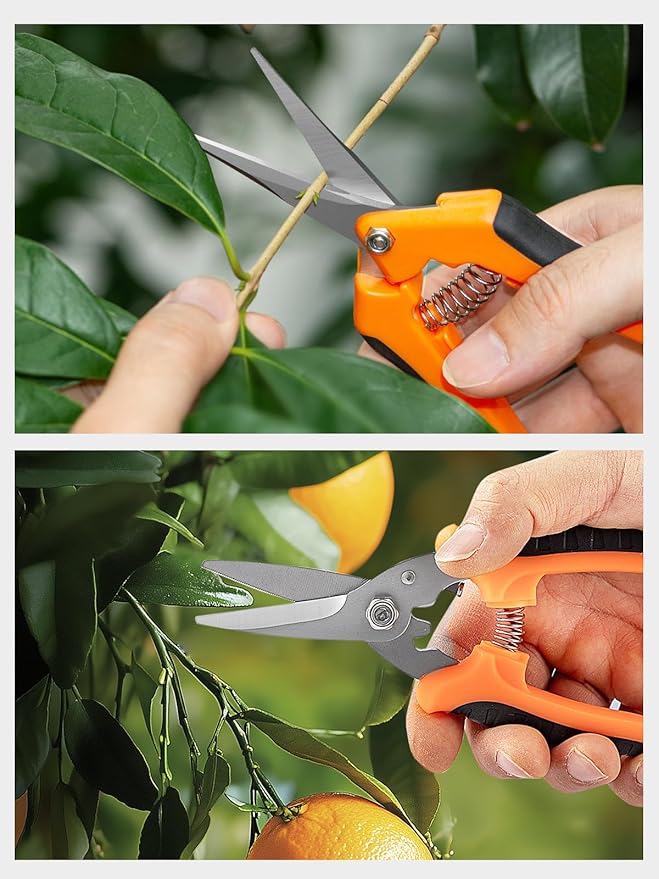GROWNEER 3 Pack Garden Scissors kit Professional Garden Pruning Shears Stainless Steel Garden Shears Gardening Clippers Flower Plant Scissors Tools Arthritis Weak Hand Pruner Work 3 Times Easier - Bloomnest
