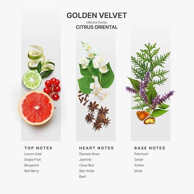 AromaPlan Hotel Scents Golden Velvet 5 Fl Oz (148ml), Home Luxury Aroma & Hotel Fragrance Diffuser Oil- Hotel Diffuser Oil for Aromatherapy- USA Made, Bigger Bottle, Bolder Aroma & Longer Lasting - Bloomnest