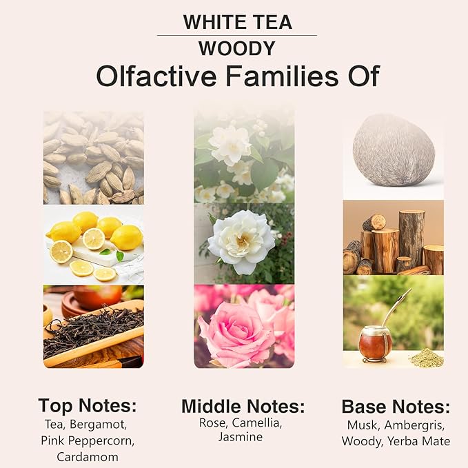 PHATOIL 3.38FL.OZ White Tea Fragrance Oils for Aromatherapy, Essential Oils for Diffusers for Home, Perfect for Diffuser, Yoga, Skin Care, DIY Candle and Soap Making - 100ml - Bloomnest