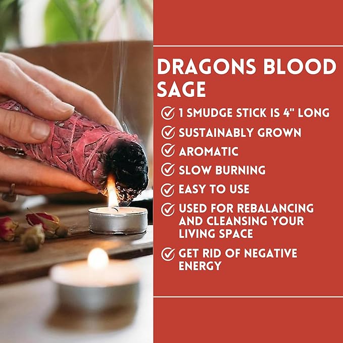 Ancient VEDA Organic Smudge Kit – Dragon's Blood, Palo Santo, Sweetgrass, Abalone Shell, Feather & Smudge Guide | Smudging Kit for Home Energy Cleansing, Meditation (Healer's Kit, Dragon's Blood Sage) AncientVeda