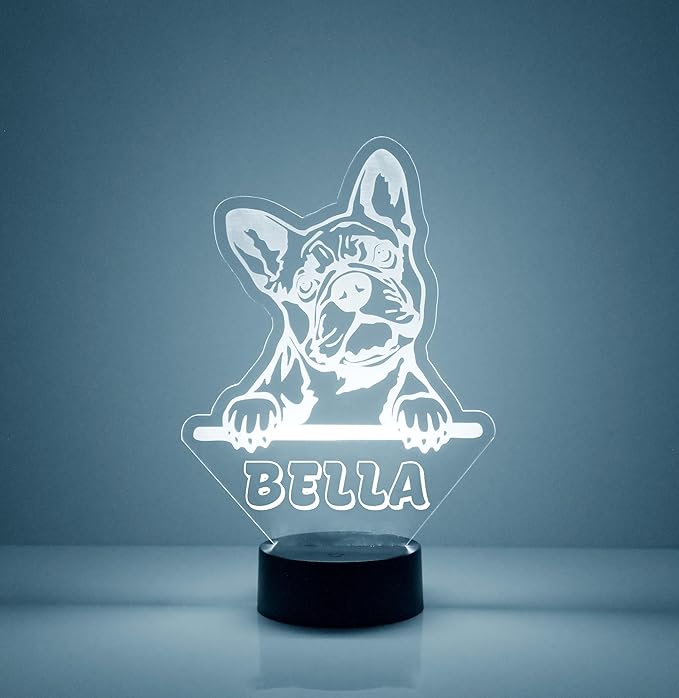 Custom Dog LED Sign Night Light Lamp with Remote, Light Up Display with Personalized Name or Image, Customized, Made in The USA, Clear Acrylic Home Decor Design with 16 Colors (Boston Terrier) - Bloomnest