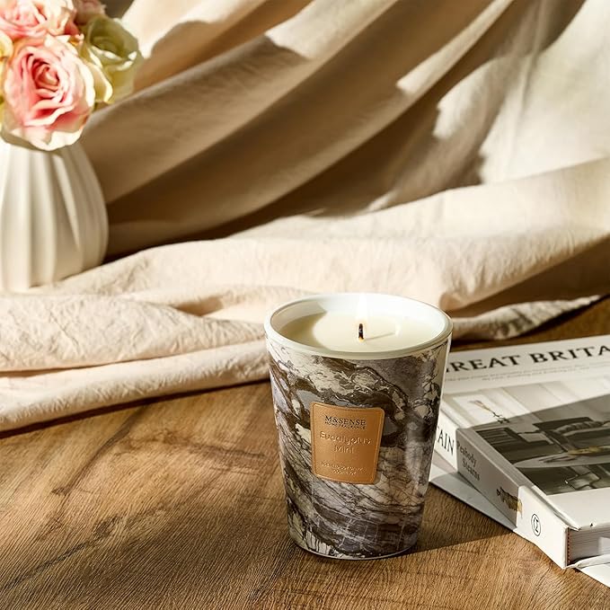 M&SENSE EucalyptusMint Scented Candles for Home, Lead-Free Wick Highly Scented Jar Candles, 14.1 Oz 80 Hours Lasting Burning Candles Gifts for Women, Relaxing Aromatherapy Candle for Stress Relief - Bloomnest