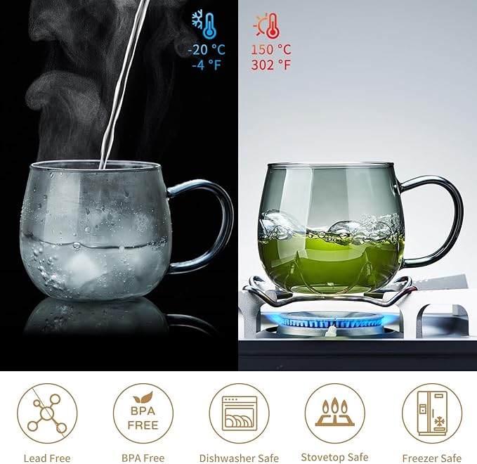 17 OZ Glass Tea Cup with Infuser and Lid, 500 ML Large Borosilicate Teacup, Clear Mug for Loose Leaf Tea, Blooming Tea, Tea Bags - Perfect Christmas or Birthday Gift for Women - Bloomnest