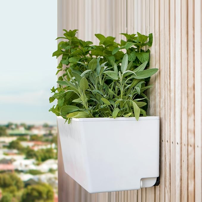 Glowpear Self Watering Planter Box - 23.6", White - UV Stable, Scalable Wall Mounts Plant Pot with Water Gauge, Indoor Outdoor for Vegetables, Flowers, Herbs, and Succulents, Gardening - Bloomnest