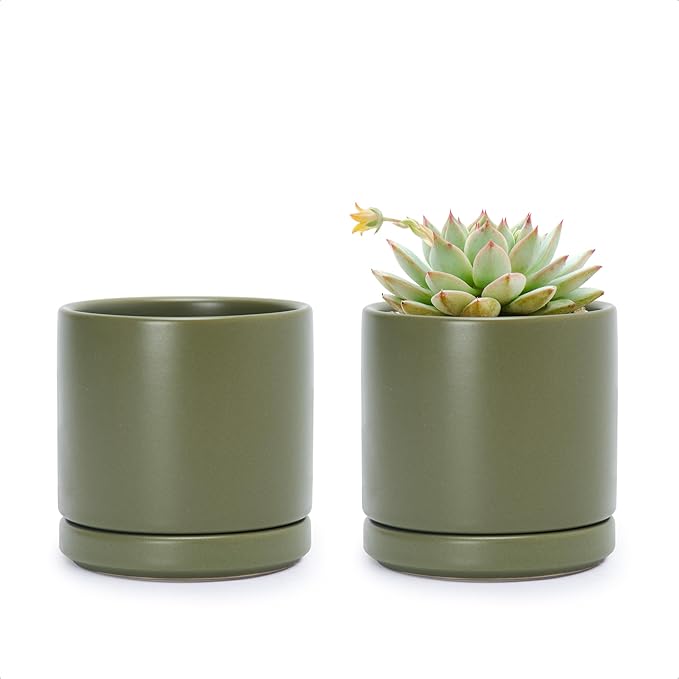 D'vine Dev Set of 2 Plants Pots, 3.5 Inch Ceramic Planter Pot for Plants with Drainage Hole and Saucer, Olive, 94-V-A-J - Bloomnest