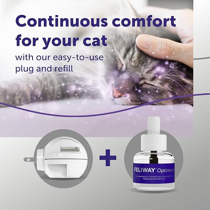 FELIWAY® Optimum 30 Day Cat Calming Plug In Pheromone Diffuser Starter Kit, 48ml - Helps Reduce Common Signs of Stress in Cats & Kittens, Enhanced Calming - Bloomnest