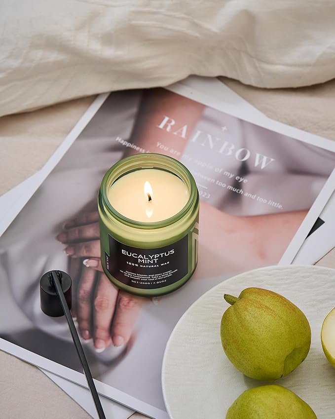M&SENSE Eucalyptus & Mint Candles for Home Scented, Clean Non Toxic Aromatherapy Candle Gift 7.05oz 50 Hours Burn for Stress Relief Meditation Yoga Relaxing SPA - Bloomnest