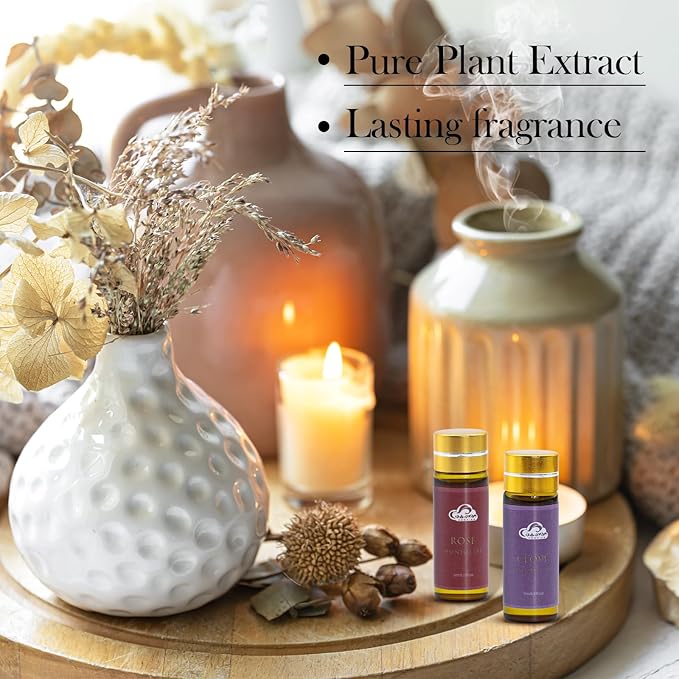 Fragrance Essential Oils Set - 14pcs, Aromatherapy Oils for Skin, Diffusers, Home Care, Humidifier Laundry, Candle Making - Tea Tree, Sandalwood, Lavender, Vanilla, Eucalyptus and More (5mL) - Bloomnest