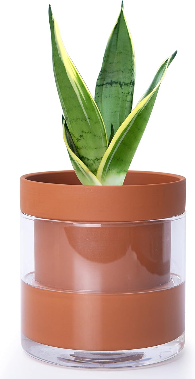 Phoenix Vine 6 Inch Self Watering Planter Pot, Terracotta Clay Pot with Glass Reservoir for Indoor Plants, Herbs, Flowers, Set of 1, 52-A-F-1 - Bloomnest