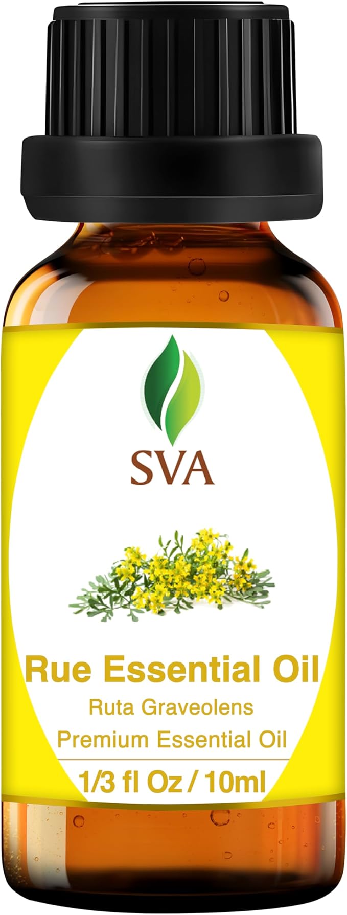 SVA Rue Essential Oil – 1/3 Fl Oz – 100% Natural Rue Oil - for Diffuser, Hair Care, Face, Skin Care, Aromatherapy, Scalp and Body Massage, Soap and Candle Making - Bloomnest