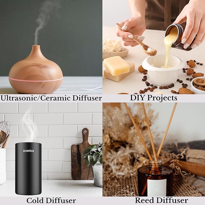 Sweet Charm Diffuser Oil | Romantic Essential Aromatherapy Oil for Love and Date Night | Valentine Collection with Jasmine, Lily & Musk | 50ml | 1.69 Fl Oz, Thanksgiving Gift - Bloomnest