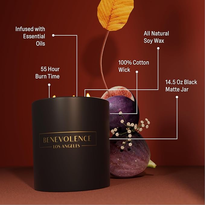 Benevolence LA 3 Wick Candle, Fig Tree Large Christmas Scented Candles | Soy Candles | Holiday Candle Gifts for Women and Men | Home Fragrance | Aromatherapy | Bathroom Freshener 14.5 Oz, 45 Hour Burn - Bloomnest