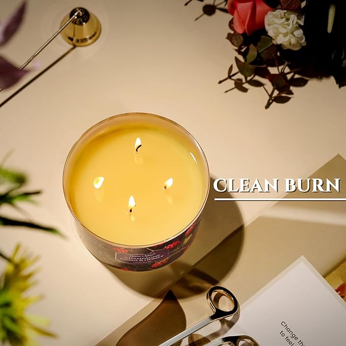 HomeLights Scented Candles for Women & Men, 18oz Candle Jars Aromatherapy 4-Wick Candle, Ideal for Eclectic Mixed Styles Home Decor and Gifts, Champagne Cassis & Honey - Bloomnest