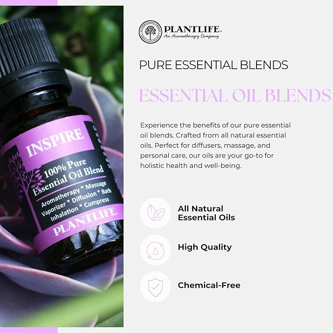 Plantlife Evergreen Aromatherapy Essential Oil Blend - Straight from The Plant 100% Pure Therapeutic Grade - No Additives or Fillers - Made in California 10 ml - Bloomnest