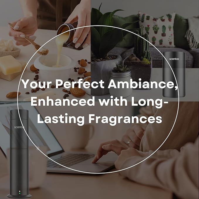 Sweet Charm Diffuser Oil | Romantic Essential Aromatherapy Oil for Love and Date Night | Valentine Collection with Jasmine, Lily & Musk | 120ml | 4.06 Fl Oz, Thanksgiving Gift - Bloomnest