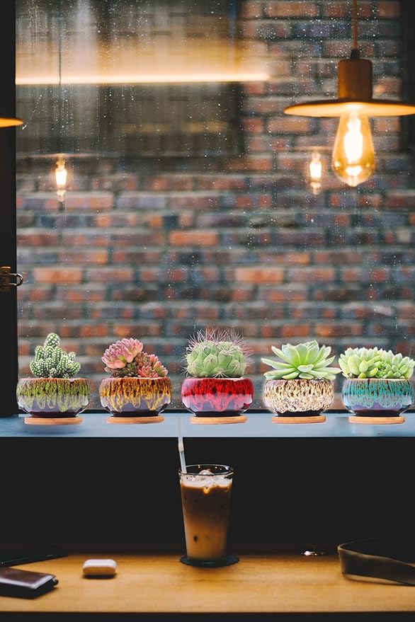 Cute Ceramic Succulent Garden Pots, Planter with Drainage and Attached Saucer, Set of 5 -Plants Not Included (Round) - Bloomnest
