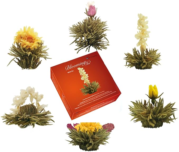 Creano Flowering Tea Gift Set - White Tea – 6 Blooming Tea with 17oz Glass Teapot - Bloomnest
