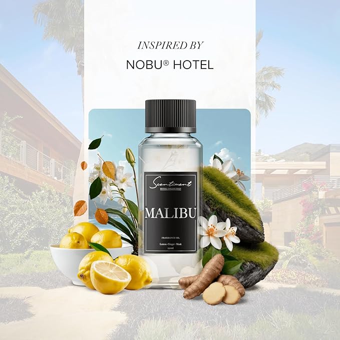 Scentiment Diffuser Oil - Malibu Hotel | Aromatherapy Home Fragrance | Inspired by Nobu® Hotel | Luxurious Scent with Notes of Lemon, Ginger, Musk (50 mL) - Bloomnest
