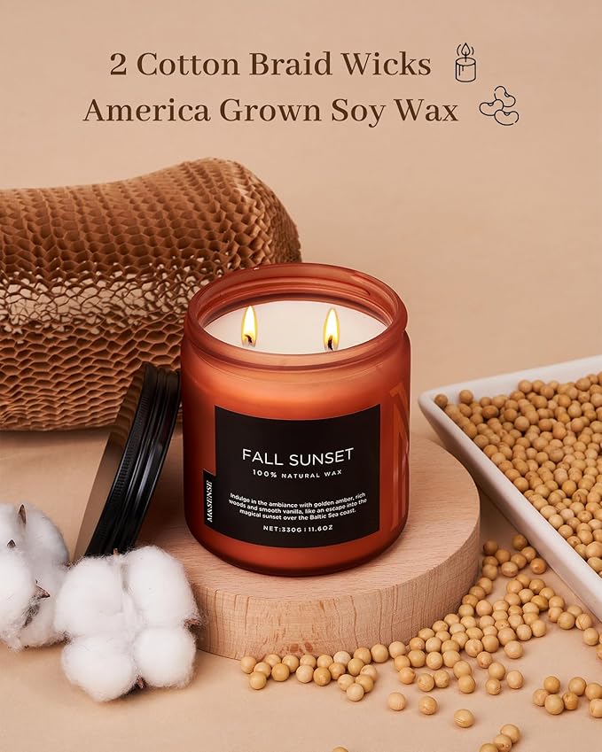 M&SENSE Baltic Amber Fall Scented Candle, 11.6oz Clean Natural Soy Wax Non Toxic Up to 70 Hours Burn Time 2 Cotton Wick Housewarming Candle for Home Scented - Bloomnest