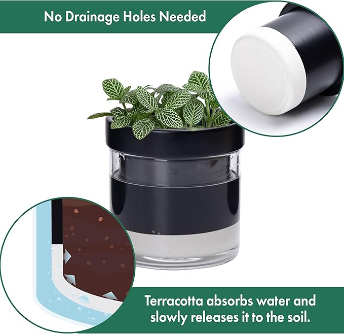 Phoenix Vine 4 Inch Self Watering Planter Pot, Black Terracotta Clay Pot with Glass Reservoir for Indoor Plants, Herbs, Flowers, Set of 3, 52-C-E-3 - Bloomnest