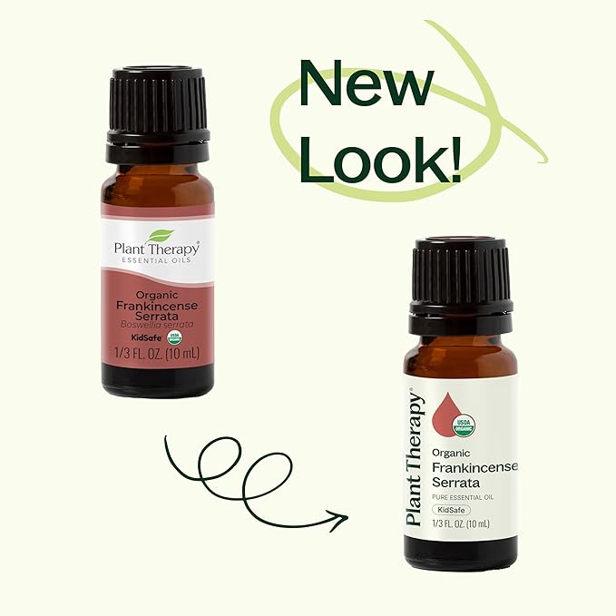 Plant Therapy Organic Frankincense Serrata Essential Oil 100% Pure, USDA Certified Organic, Undiluted, Natural Aromatherapy, Therapeutic Grade 30 mL (1 oz) - Bloomnest