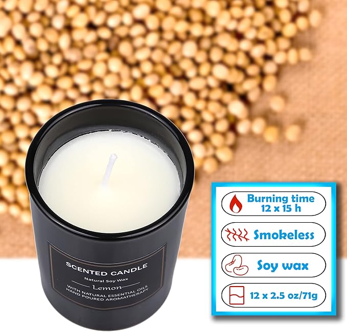 12 Pack Scented Candles Gift Set 2.5oz Strong Fragrance Aromatherapy Jar Candle Set Soy Wax Decorative Candles for Home Scented Candles Best Gifts for Women. - Bloomnest
