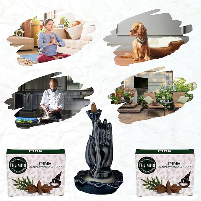 Pine Backflow Incense Cones - 60 Cones, Six Packs of 10, Waterfall Effect TRUMIRI