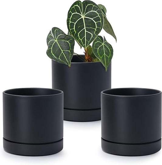 6 Inch Modern Plastic Round Pots for Indoor Houseplants and Herbs, Pack of 3 Planter Pot with Drainage Hole & Saucer, Deep Water Catch Tray, Straight Cylindrical Pot for Plants, Matte Black, 23-D-S-2 - Bloomnest