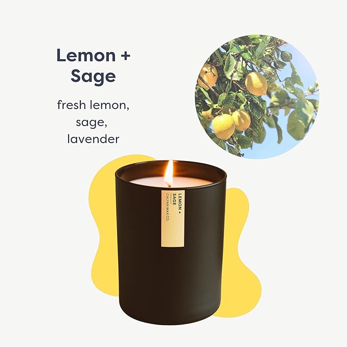 Calyan Wax Co. Passionfruit & Ginger Scented Candle - 75 Hour Burn - Luxury Non Toxic Soy Wax Candles - Long Lasting Black Tumbler Jar Candle for Home - 10.2oz - Bloomnest
