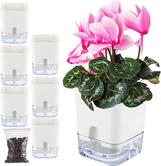 Planterhoma 6 Pack-5.5 Inch Self Watering Plant Pots for Indoor Plants, Square Self-Watering Planters Box Transparent for Devil's Ivy, Spider Plant, Orchid, African Violet - Bloomnest
