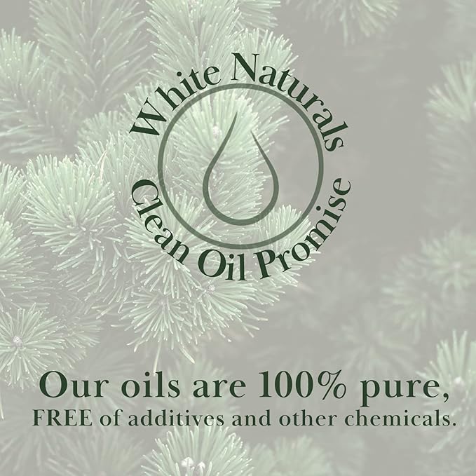Pure Pine Essential Oil, Woodsy and Fresh to Relax and Cleaner Air - Natural, Undiluted, Premium Therapeutic Grade, Perfect for Aromatherapy, Diffuser, Skin, DIY Candle Making 1 oz Bottle with Dropper - Bloomnest