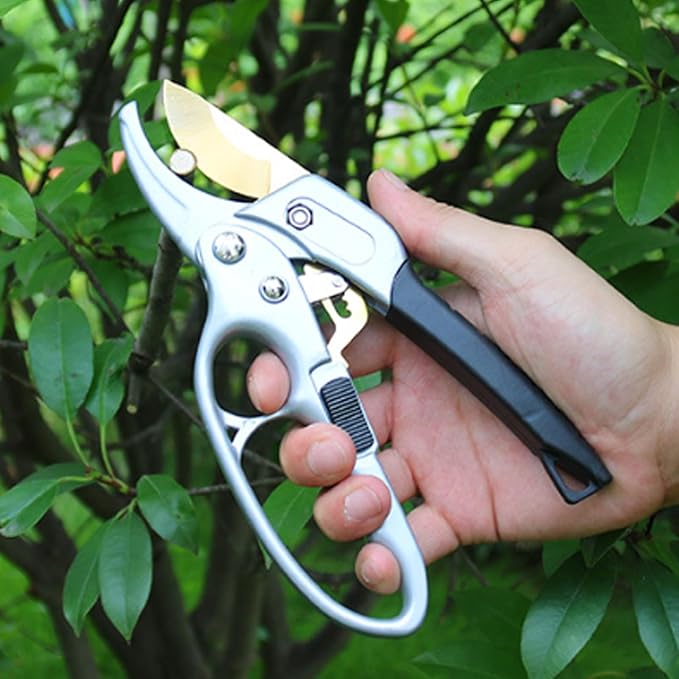 Ultra Sharp Germany Titanium Steel Pruning Shears - Cuts 3X Easier, Weak Hand Arthritis Snips, Rust-Resistant, Effortlessly 1-Inch Cut Capacity Garden Scissors, Ergonomic Handle - Bloomnest