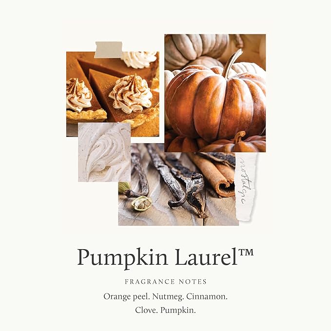 Thymes Scented Candles for Home Decor - Luxury Home Fragrance Gifts for Women & Men - Fall Candles with Creamy Pumpkin, Nutmeg, & Cinnamon - Burnt Orange (Pumpkin Laurel, 6.5 oz) - Bloomnest