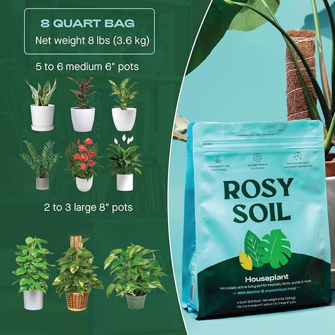 Rosy Soil Indoor Potting Soil for House Plants - Organic Potting Soil Mix for Indoor Plants - Enriched w/Root-Boosting Biochar for Foliage Plants, Flowers, Herbs - Peat Free, Less Prone to Gnats - 8qt - Bloomnest