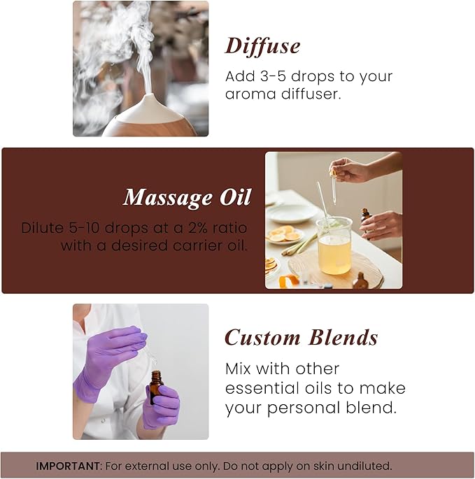Handcraft Blends Nutmeg Essential Oil – 1 Fl Oz – 100% Pure and Natural – Premium Grade Essential Oil for Diffuser and Aromatherapy, Skin, Massage, Candle and Soap Making Fragrance - Bloomnest