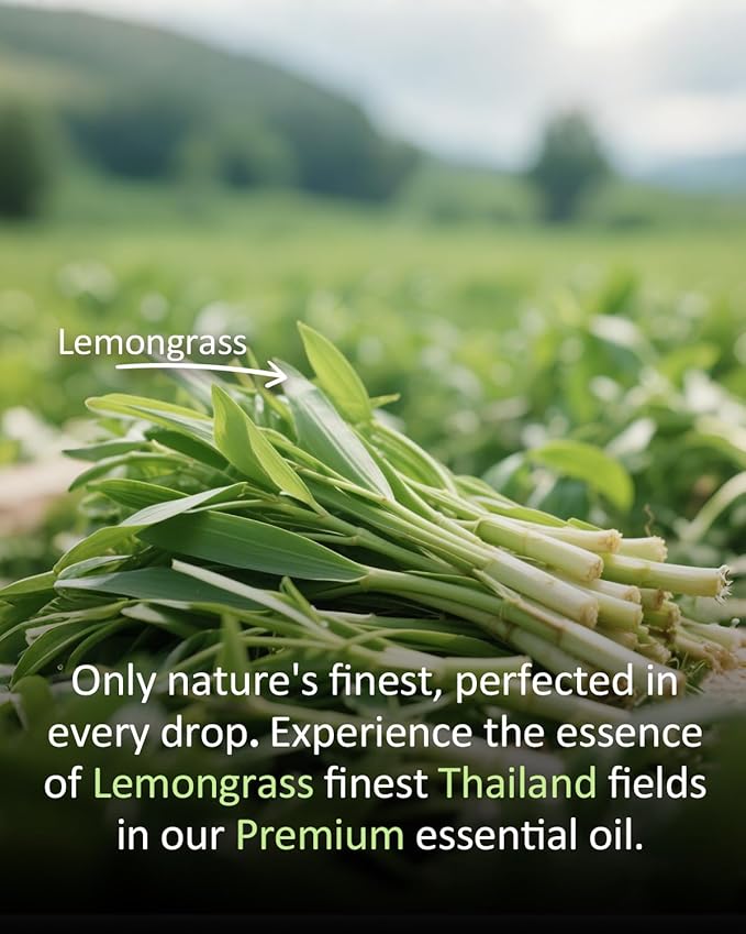 Pure Lemongrass Essential Oil Citrus Aromatherapy Natural for Hair Home Body Skin Energizing Diffuser Oils 4 Fl Oz Airoomoil