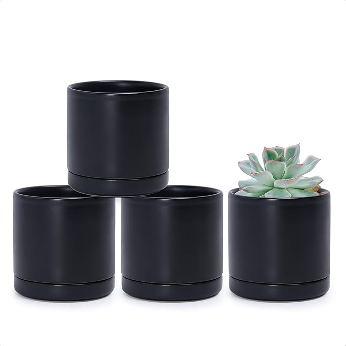 D'vine Dev Set of 4 Small Ceramic Plant Pots, 3.5 Inch Succulent Planter Pot for Plants with Drainage Hole and Saucer, Black, 94-X-A-2 - Bloomnest