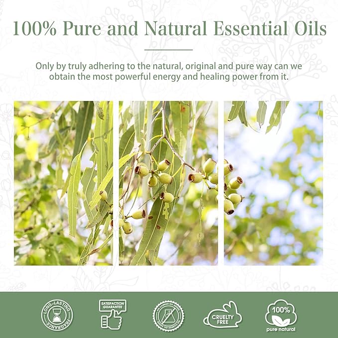 Lemon Eucalyptus 3.38fl.oz Essential Oil, PHATOIL Pure Aromatherapy Oils for Diffuser, Humidifier, Perfect for DIY Soap, Candle, Bath Bombs Making(100ml) PHATOIL