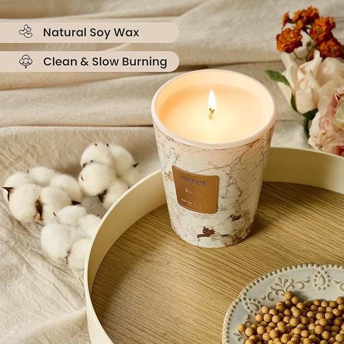 M&SENSE Santal Scented Candles for Home, Lead-Free Wick Highly Scented Jar Candles, 14.1 Oz 80 Hours Lasting Burning Candles Gifts for Women, Relaxing Aromatherapy Candle for Stress Relief - Bloomnest