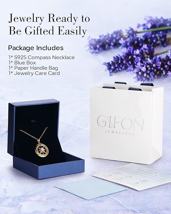 S925 Necklace Gift for Wife |Compass Jewelry |Women Anniversary |Sterling Silver |Girlfriend Birthday Gifts for Her Valentines |I'd be Lost without You |Jewel 18K Gold - Bloomnest