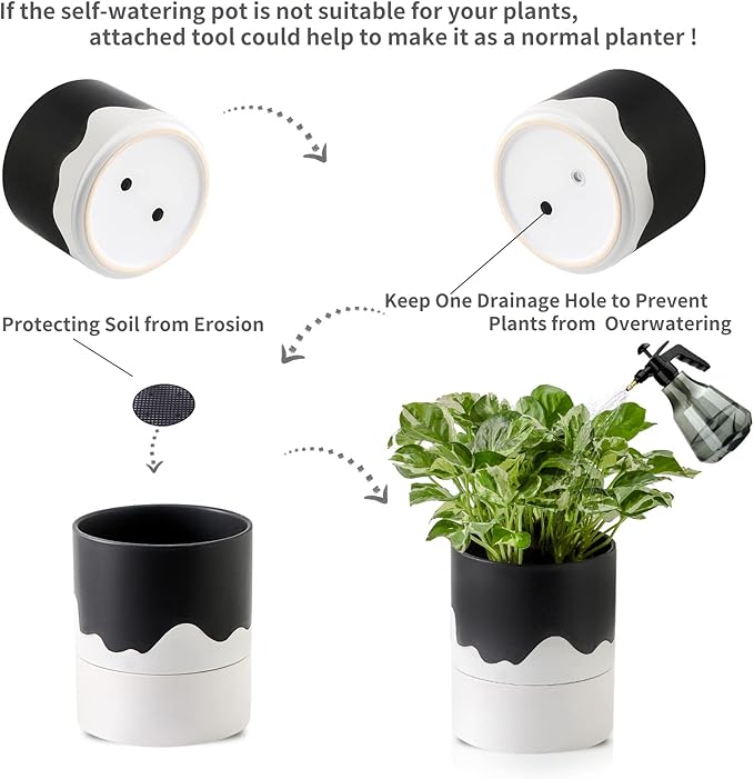 Nihow Self Watering Plant Pot: 6 Inch Ceramic Planter with Drainage Hole & Water Storage Plus for Indoor & Outdoor Plants - Cylinder Round Flower Pot for Succulent/Herbs/Violets - Black & Wave White - Bloomnest