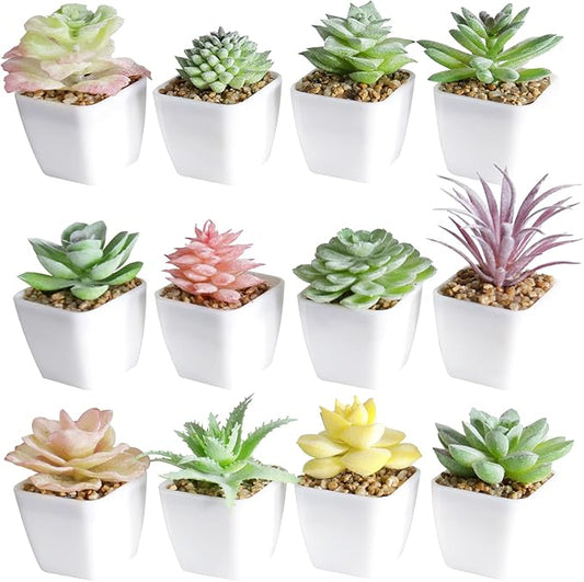 Tiita Artificial Faux Succulents in Pots Fake Plants Plastic Arrangement Planter Small Mini Tiny Decoration for Home Office Desk Window Sill Bathroom Bedroom Outdoor Indoor 12 Set - Bloomnest