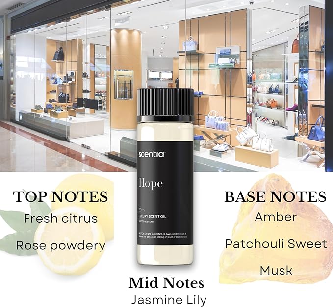 Perfume-Inspired Essential Oil Set – 3×20ml Diffuser Oils with Floral & Woody Notes | Designer Fragrance Blends for Home, Spa & Aromatherapy - Thanksgiving & Holiday Gift - Bloomnest
