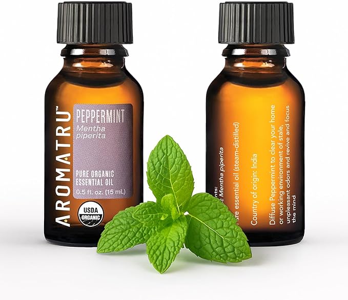 Focus Essential Oil Kit – Rosemary, Peppermint, Lemon, and Grapefruit – Organic & Wildcrafted – ISO Certified – No Synthetic Fillers – Ethically Sourced - Bloomnest
