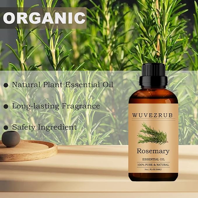 Rosemary Essential Oils, 30ML Pure and Natural Essential Oil for Aromatherapy Diffuser - Rosemary /1 Fl Oz - Bloomnest
