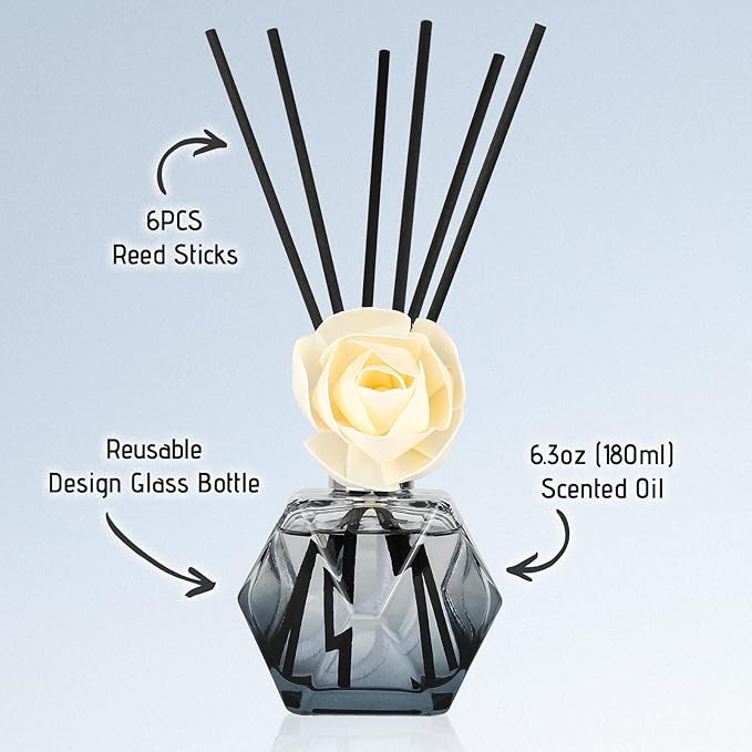 Brakula Reed Diffuser Set, 6.09 fl oz (180 ml)-Eucalyptus & Wild Mint with 8 Reed Sticks, Home Fragrance Reed Diffuser for Bathroom Shelf Decor